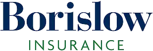 Borislow Insurance