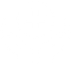 Medical, Dental & Vision