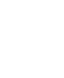 Lightbulb icon