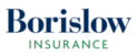 Borislow Insurance